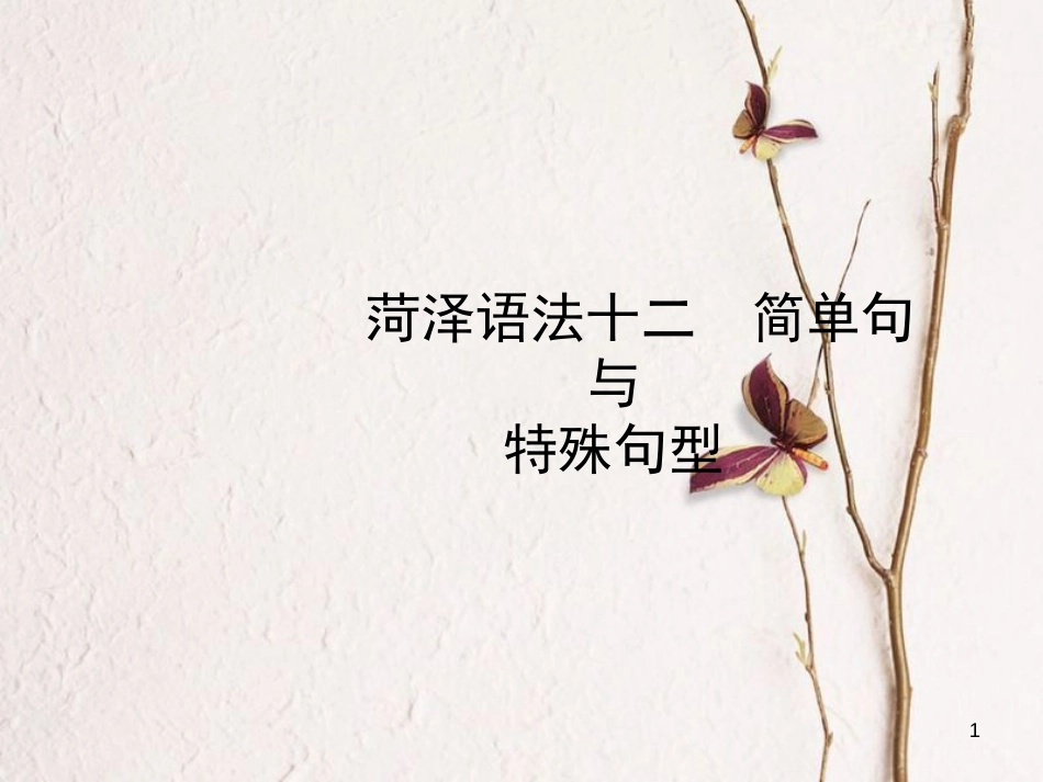 山东省菏泽市中考英语总复习 语法十二 简单句与特殊句型课件_第1页