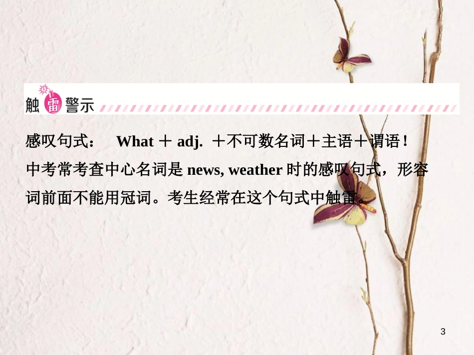 山东省菏泽市中考英语总复习 语法十二 简单句与特殊句型课件_第3页