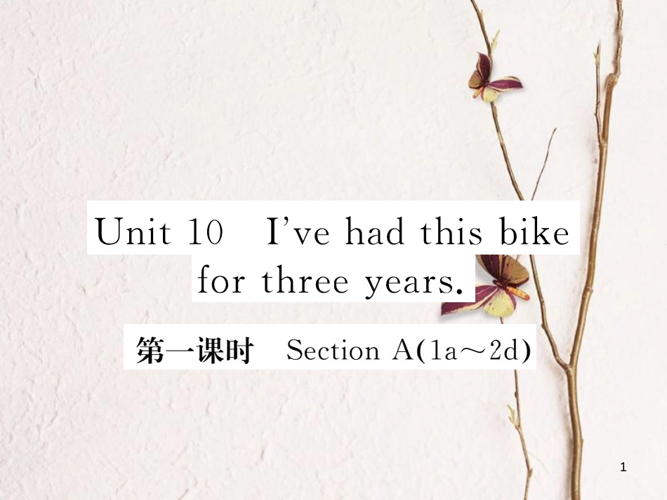 八年级英语下册 Unit 10 I’ve had this bike for three years（第1课时）练习课件 （新版）人教新目标版_第1页