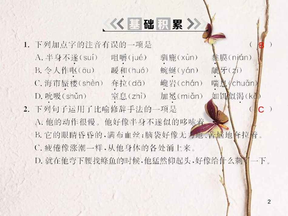 2018九年级语文下册 第二单元 8 热爱生命（节选）课件 （新版）新人教版_第2页