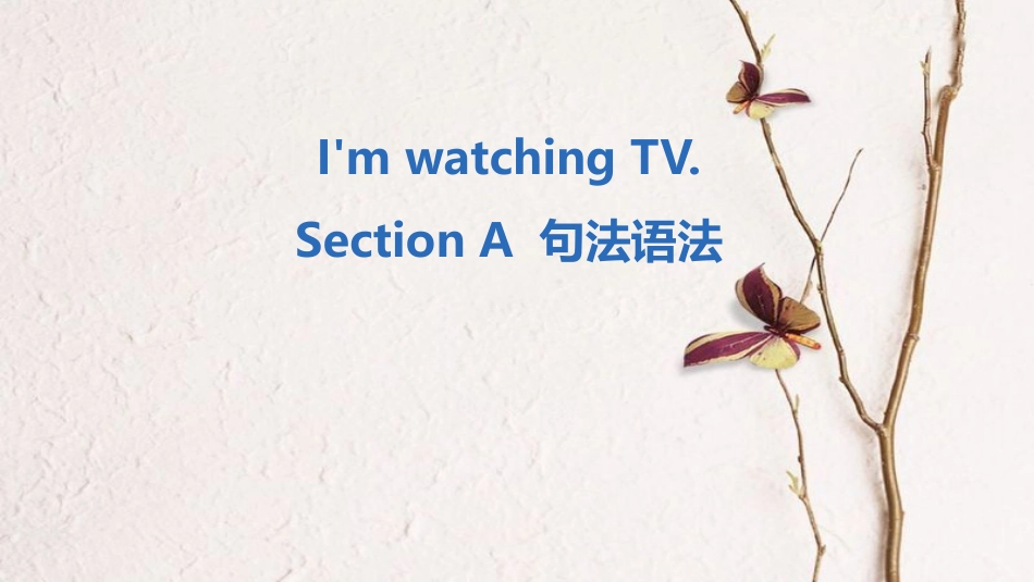 七年级英语下册 Unit 6 I’m watching TV Section A句法语法课件 （新版）人教新目标版_第1页