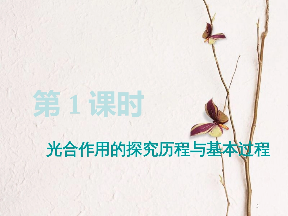 （全国通用版）2019版高考生物一轮复习 第1部分 分子与细胞 第三单元 细胞的能量供应和利用 第3讲 第1课时 光合作用的探究历程与基本过程精准备考实用课件_第3页