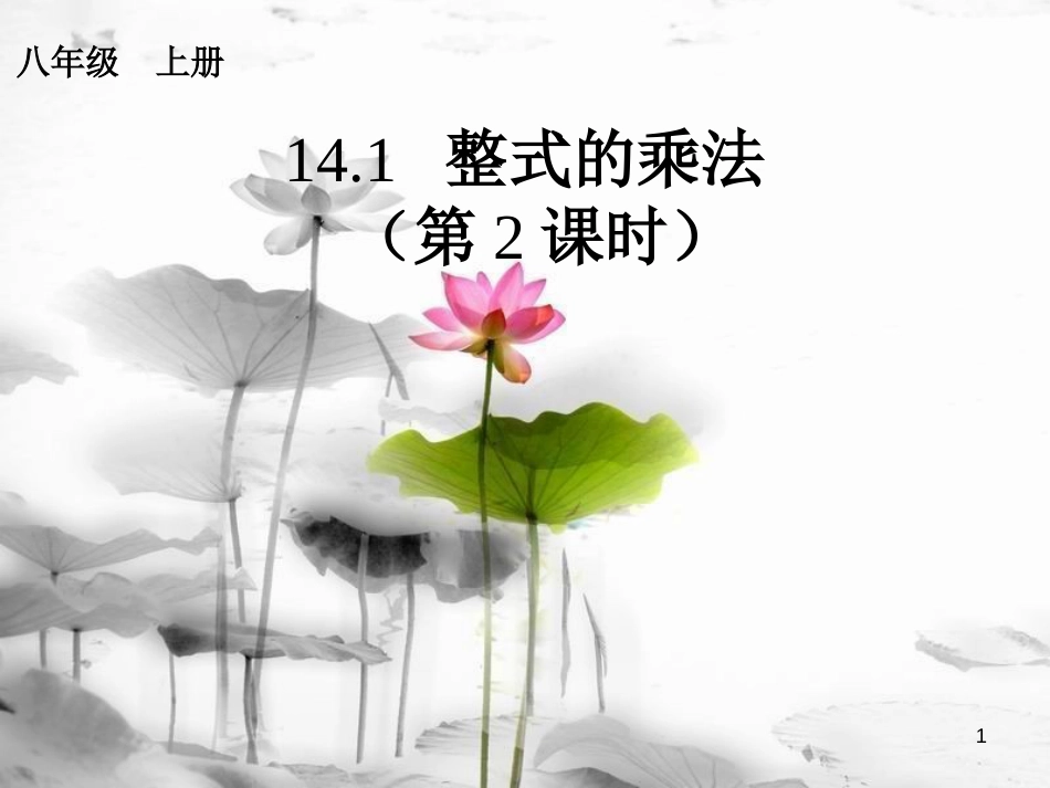 八年级数学上册 14.1 整式的乘法（2）课件 （新版）新人教版_第1页