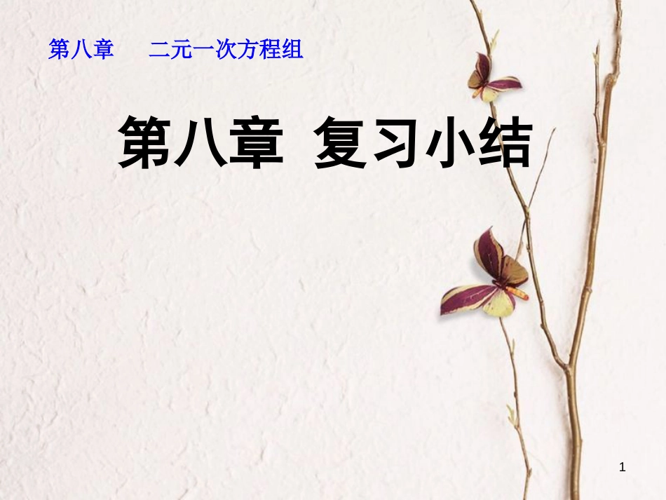 山东省诸城市桃林镇七年级数学下册 第8章 二元一次方程组复习小结课件 （新版）新人教版_第1页