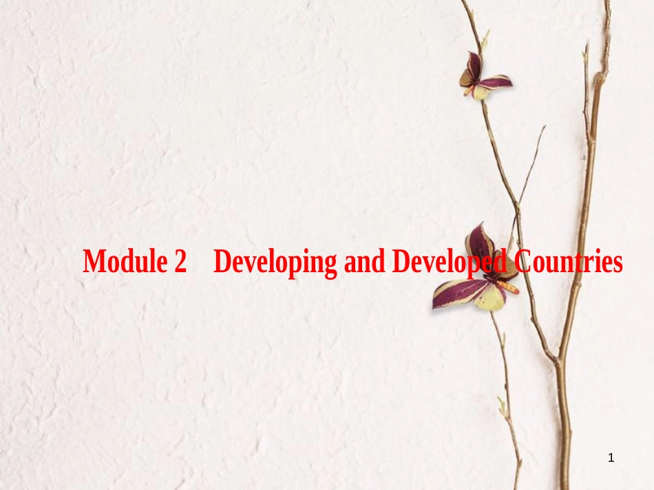 2019版高三英语一轮复习 Module 2 Developing and Developed Countries课件 外研版必修3_第1页