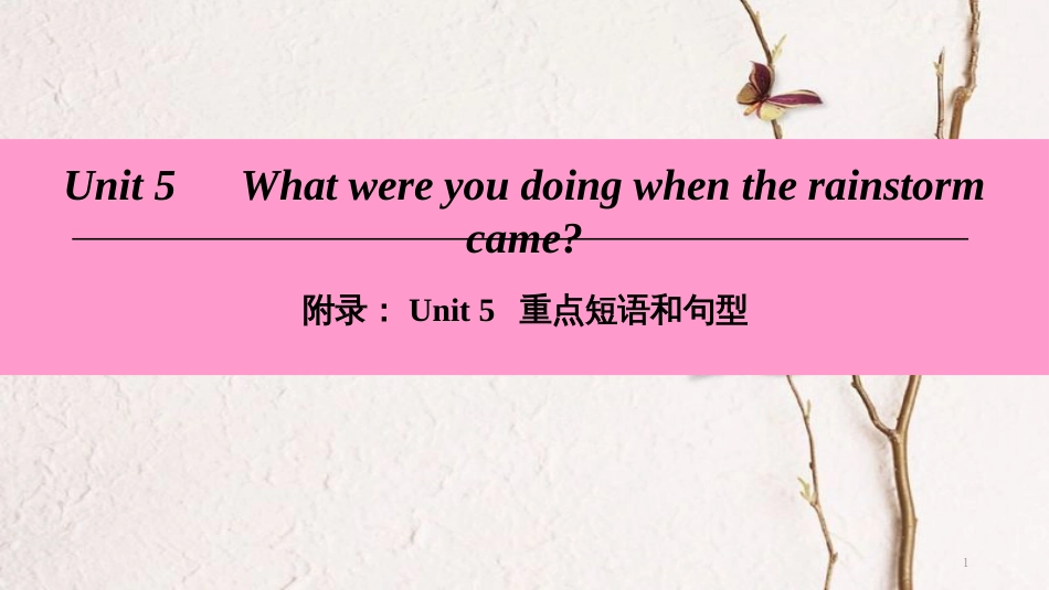 八年级英语下册 Unit 5 What were you doing when the rainstorm came重点短语和句型课件 （新版）人教新目标版_第1页