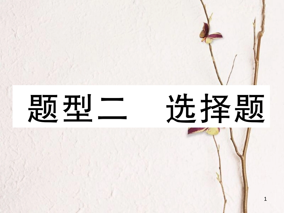 （青海专版）中考数学复习 第2编 专题突破篇 题型2 选择题（精讲）课件_第1页