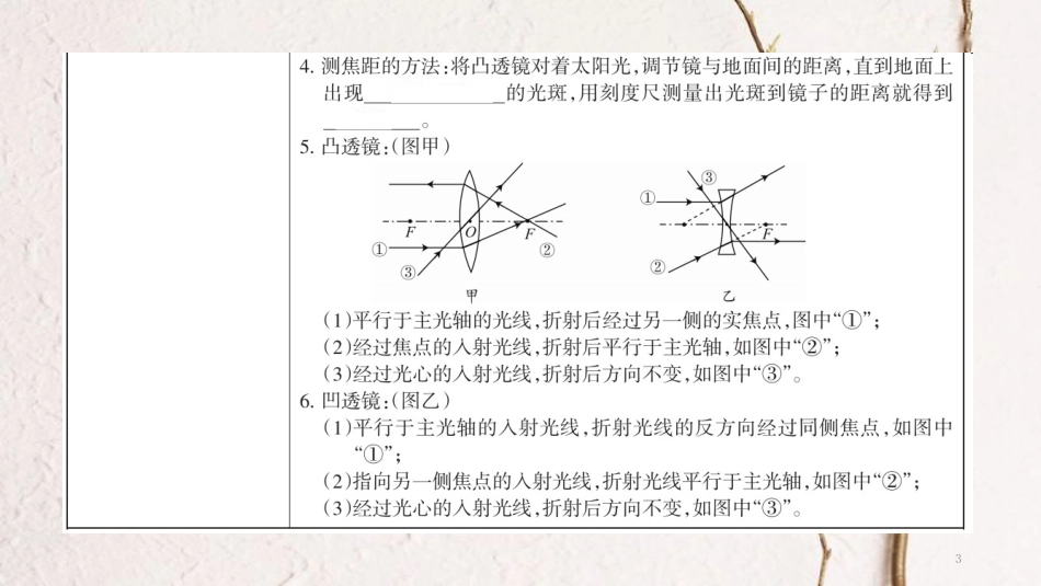 广西省钦州市钦北区八年级物理上册 5.1 透镜课件 （新版）新人教版_第3页