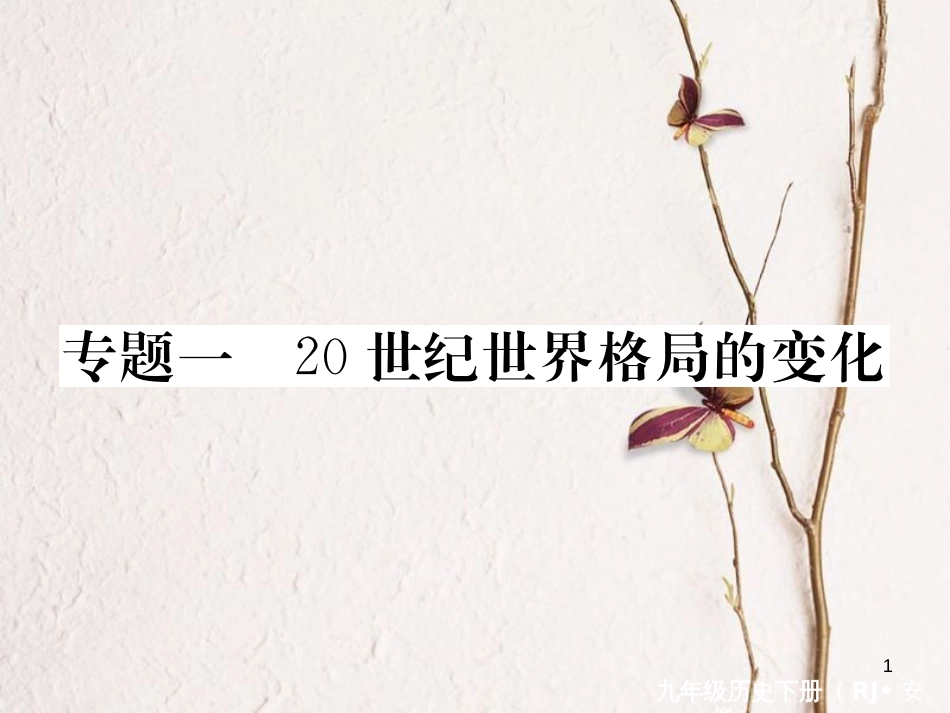 （安徽专版）九年级历史下册 专题一 20世纪世界格局的变化同步测试课件 新人教版_第1页