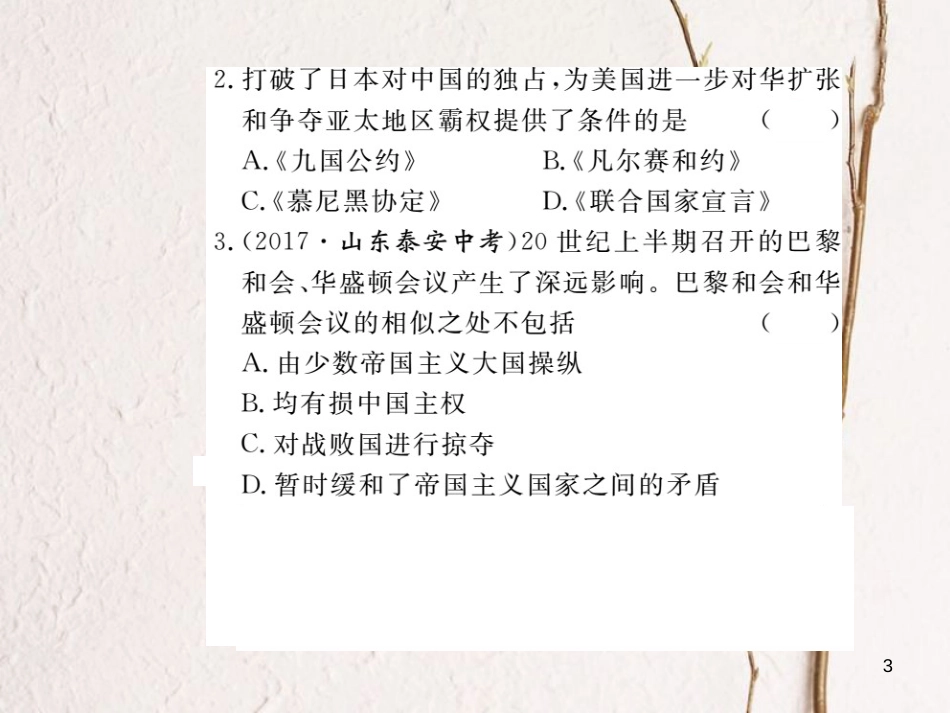 （安徽专版）九年级历史下册 专题一 20世纪世界格局的变化同步测试课件 新人教版_第3页