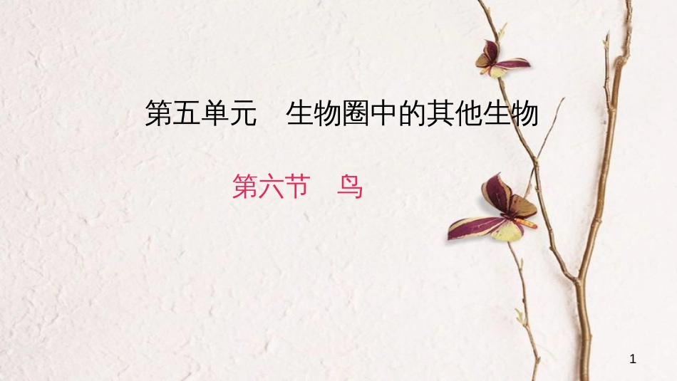 八年级生物上册 第五单元 第一章 第六节 鸟课件 （新版）新人教版_第1页