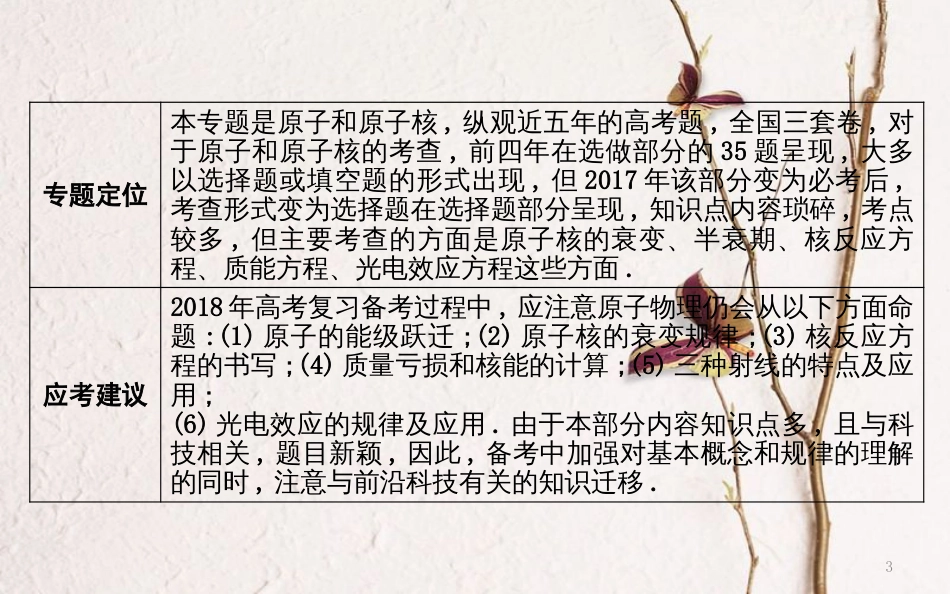 （全国通用）高考物理二轮复习 备课资料 专题七 原子与原子核课件_第3页