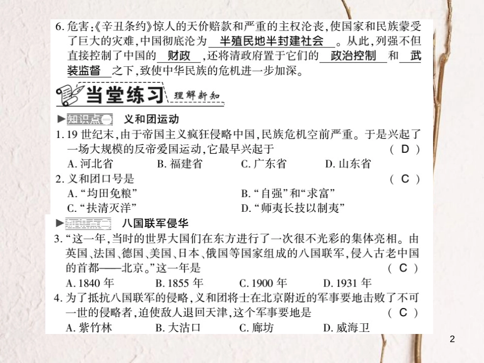 八年级历史上册 第1单元 列强侵华与晚清时期的救亡图存 第7课 义和团运动与八国联军侵华习题课件 岳麓版_第2页