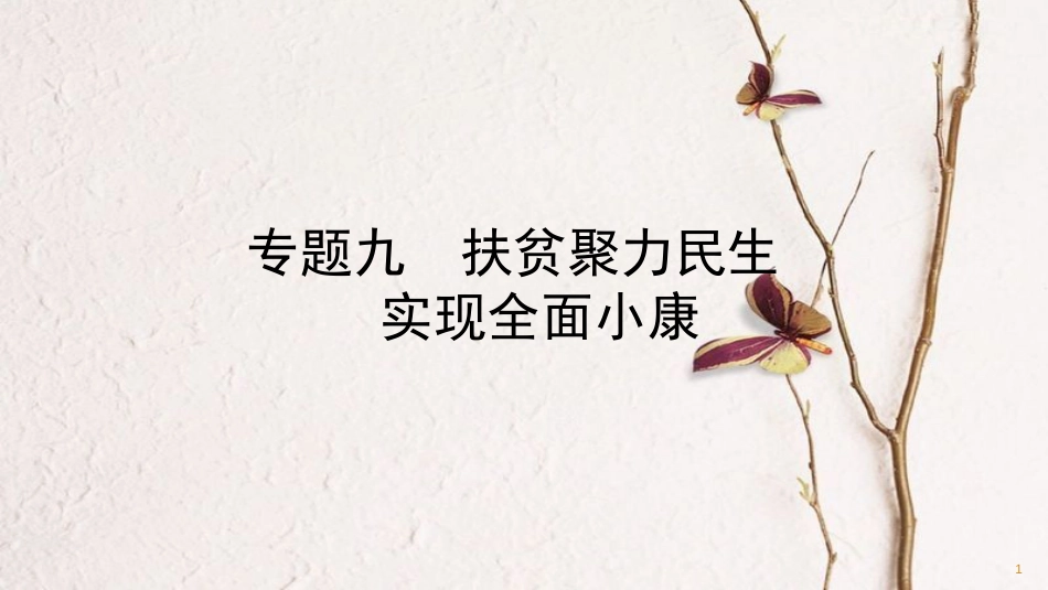 （潍坊专版）中考政治总复习 专题突破九 扶贫聚力民生 实现全面小康课件_第1页