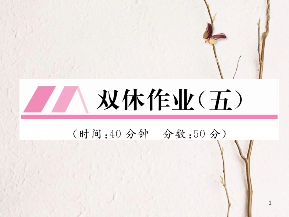 九年级化学下册 双休作业（五）作业课件 （新版）新人教版_第1页