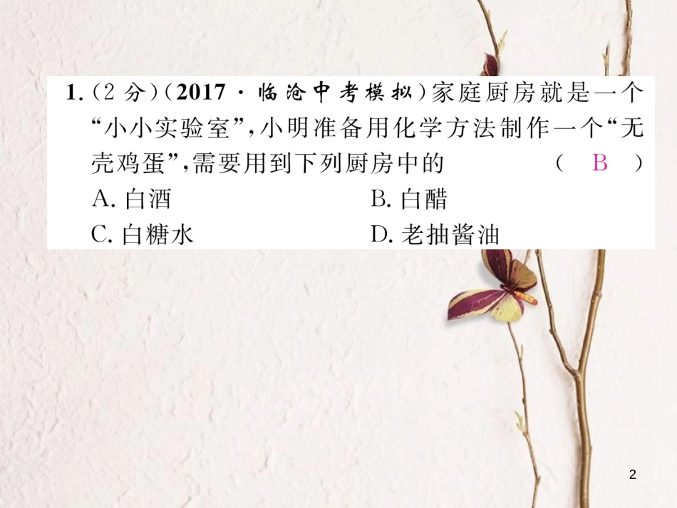 九年级化学下册 双休作业（五）作业课件 （新版）新人教版_第2页