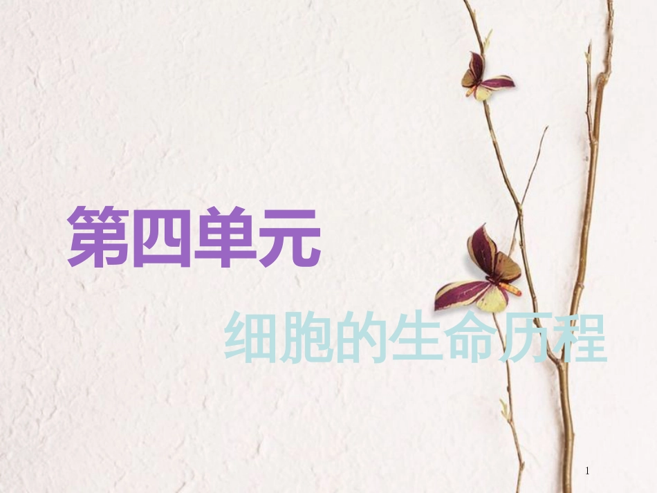 （全国通用版）2019版高考生物一轮复习 第1部分 分子与细胞 第四单元 细胞的生命历程 第1讲 细胞的增殖精准备考实用课件_第1页