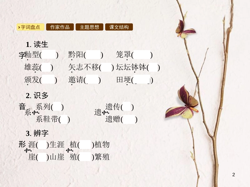 学年八年级语文上册 第三单元 11 杂交水稻之父 袁隆平课件 语文版_第2页