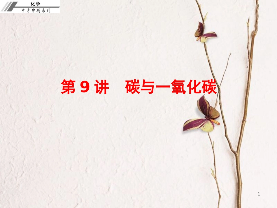 中考化学冲刺 第9讲 碳与一氧化碳习题课件_第1页
