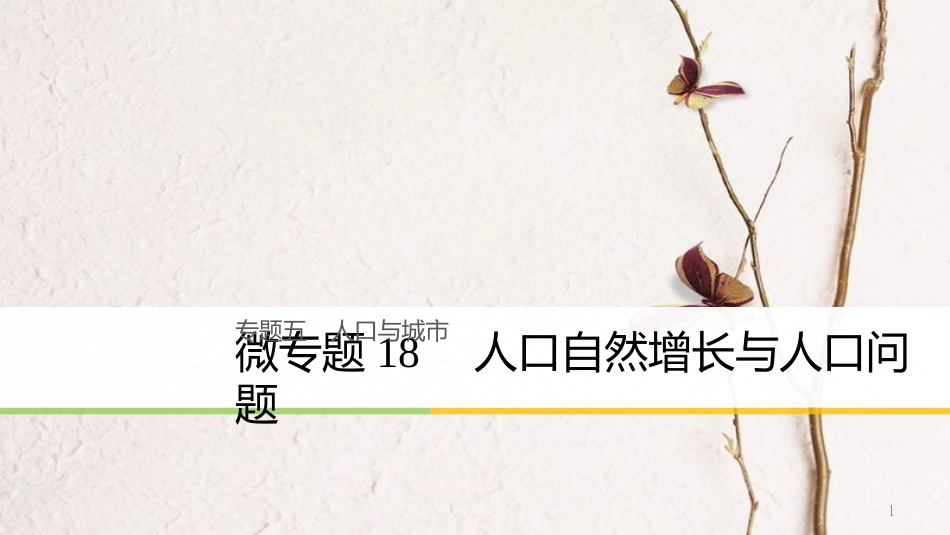 浙江省高考地理二轮复习5人口与城市微专题18人口自然增长与人口问题课件_第1页