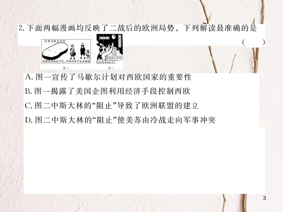 （安徽专版）九年级历史下册 第七、八单元 检测卷课件 新人教版_第3页