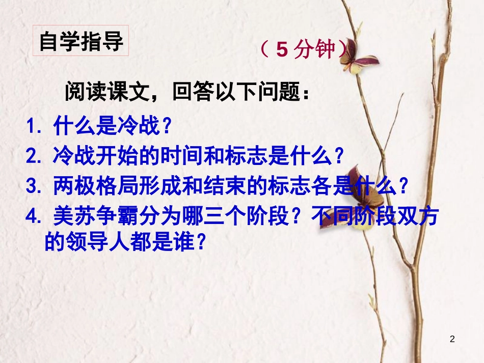 广东省汕头市龙湖区九年级历史下册 第14课 冷战中的对峙课件 新人教版_第2页