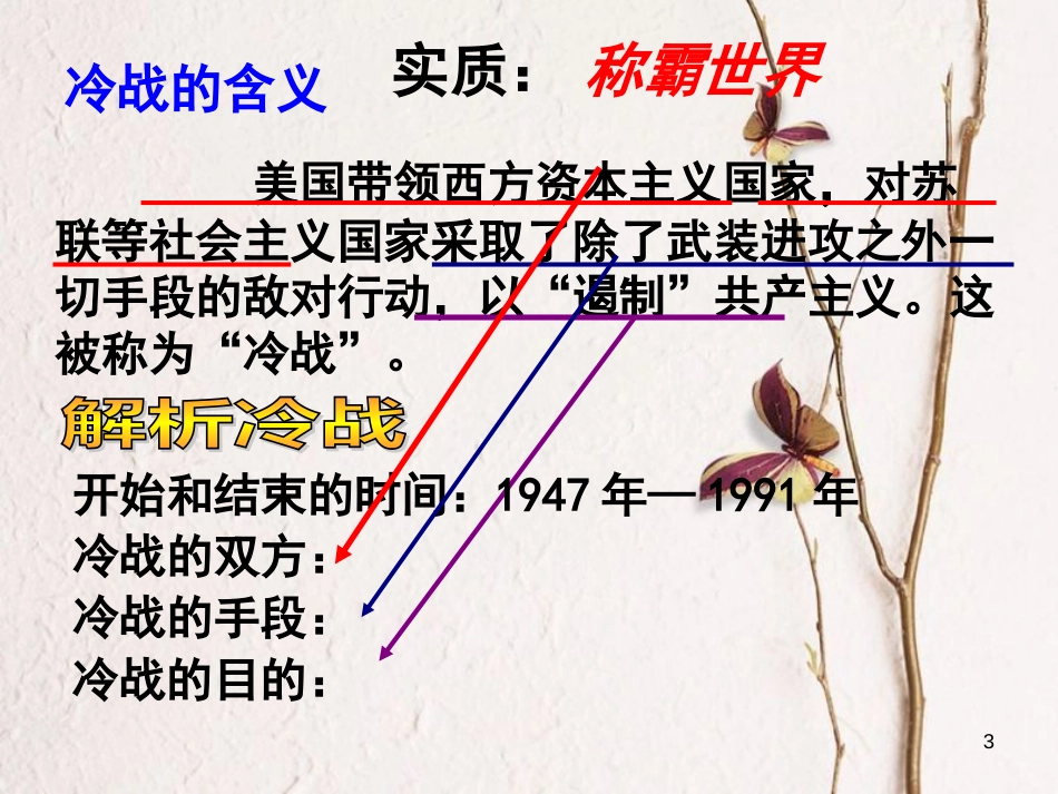 广东省汕头市龙湖区九年级历史下册 第14课 冷战中的对峙课件 新人教版_第3页