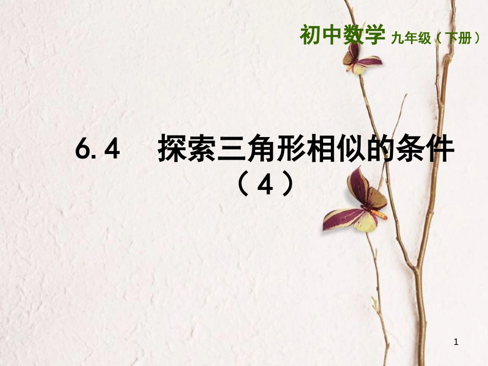 重庆市沙坪坝区九年级数学下册第6章图形的相似6.4探索三角形相似的条件（4）课件（新版）苏科版_第1页