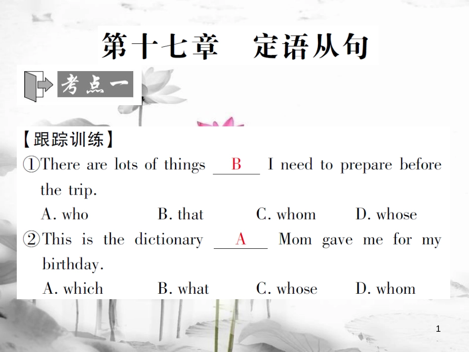 届中考英语复习 第二轮 语法突破 第十七章 定语从句课件_第1页