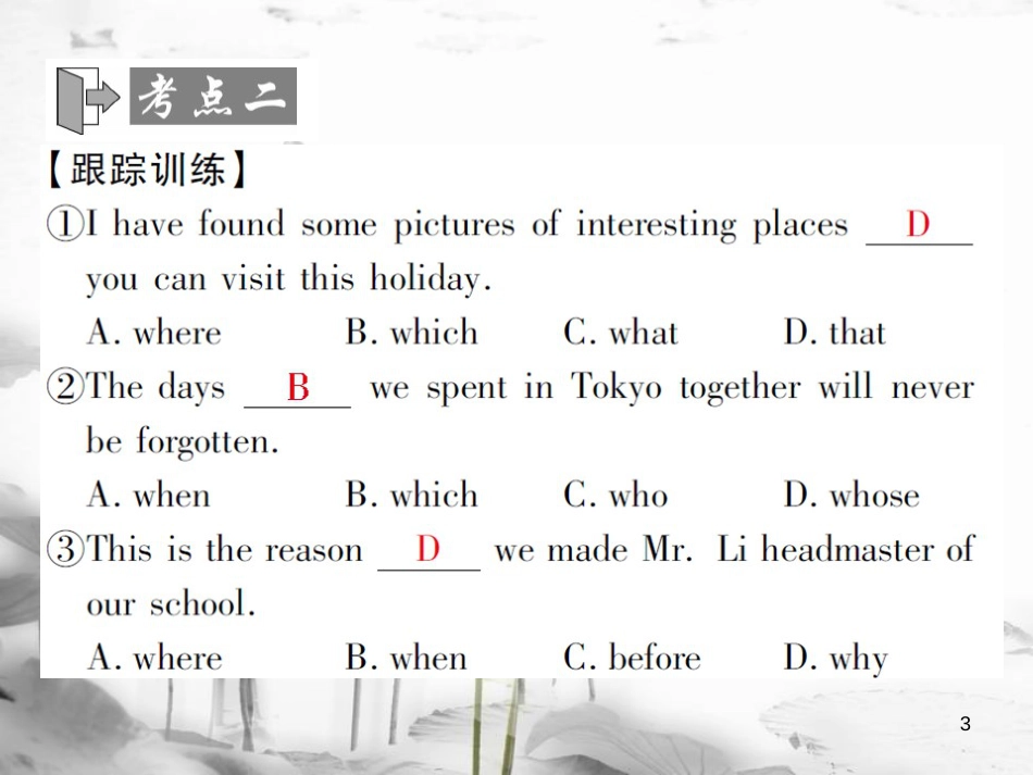 届中考英语复习 第二轮 语法突破 第十七章 定语从句课件_第3页