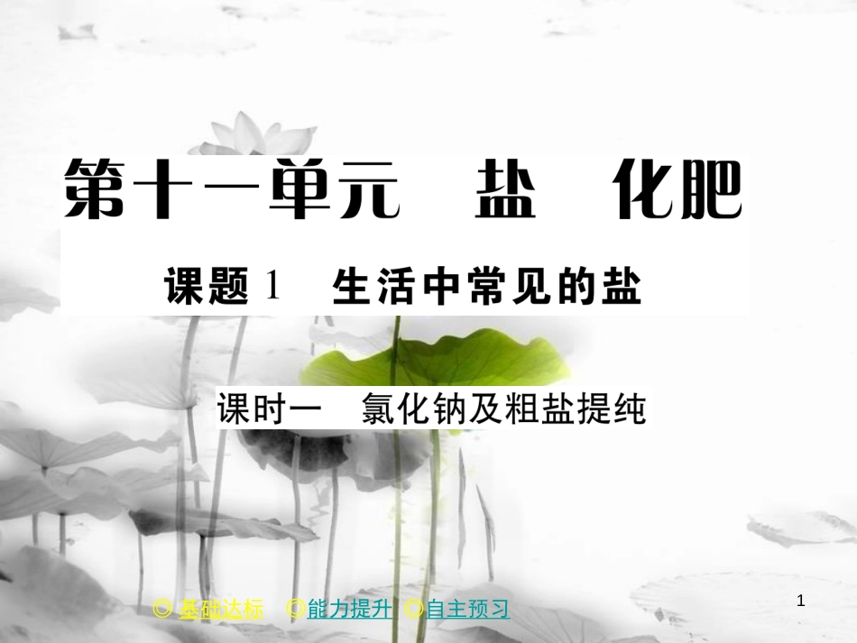 年春九年级化学下册 第十一章 盐 化肥 课题1 生活中常见的盐（课时一）课件 （新版）新人教版_第1页