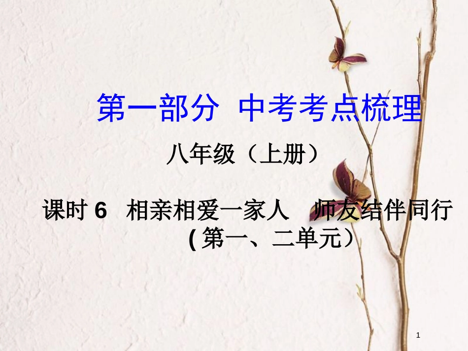 湖南省中考政治总复习 课时6 相亲相爱一家人 师友结伴同行课件_第1页