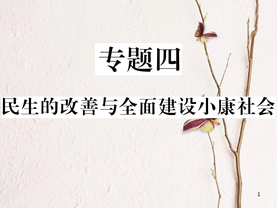 八年级历史下册 专题四 民生的改善与全面建设小康社会习题课件 岳麓版_第1页
