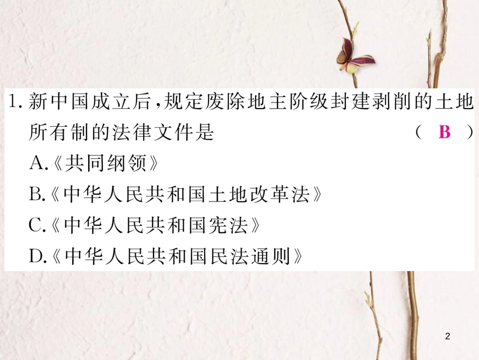 八年级历史下册 专题四 民生的改善与全面建设小康社会习题课件 岳麓版_第2页