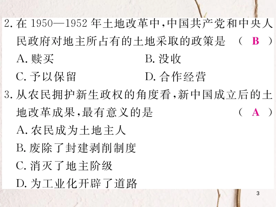 八年级历史下册 专题四 民生的改善与全面建设小康社会习题课件 岳麓版_第3页