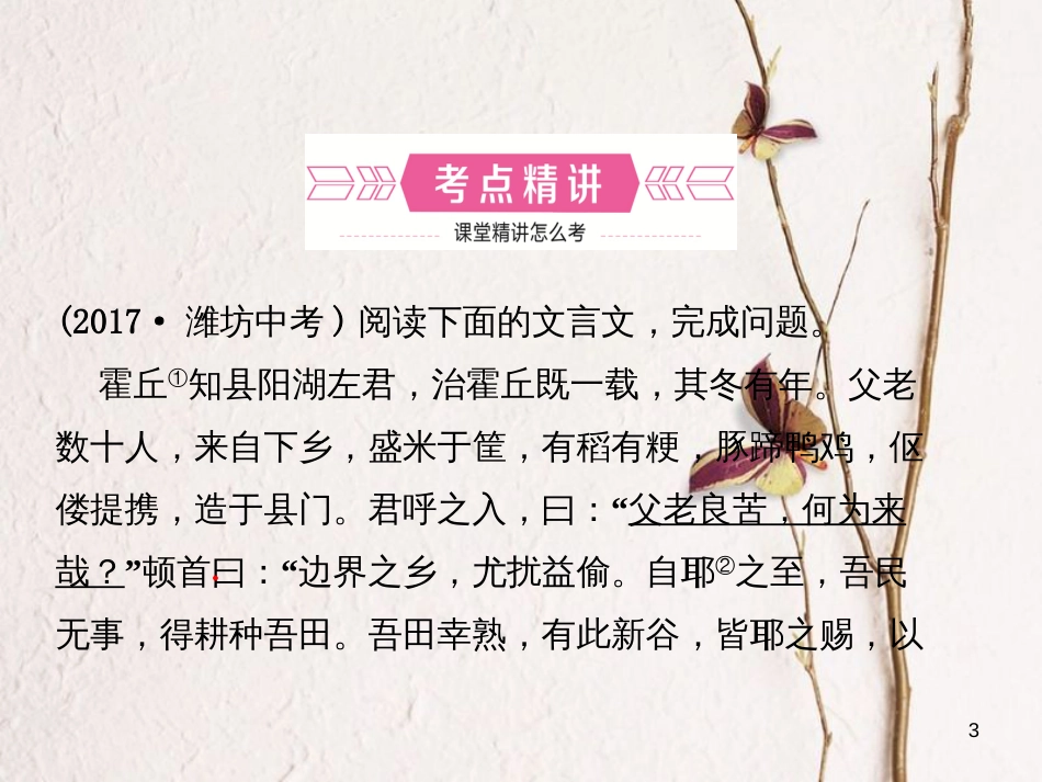 （潍坊专版）中考语文 专题十一 文言文阅读复习课件_第3页