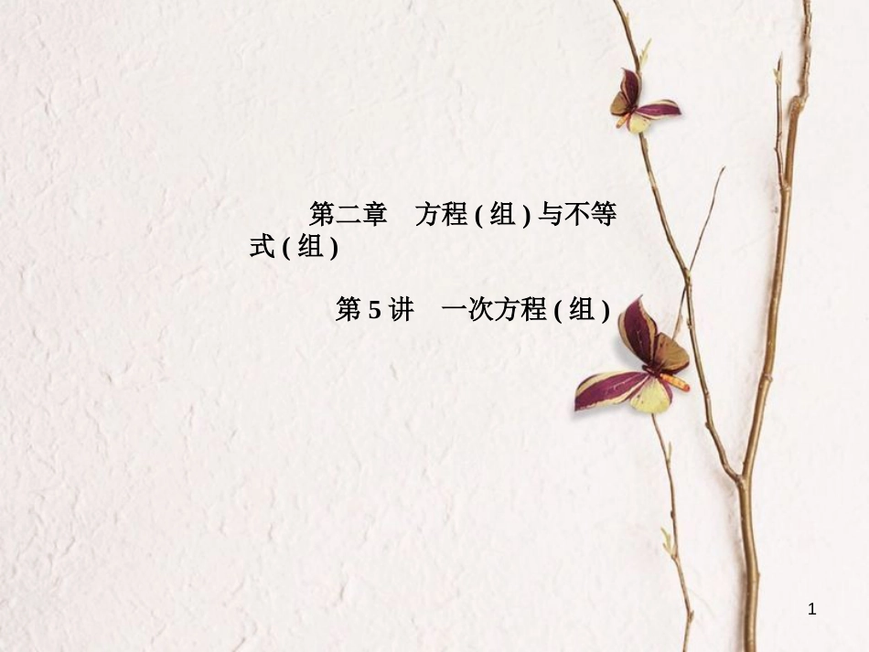 河北省中考数学复习 第2章 方程(组)与不等式(组)第5讲 一次方程(组)课件_第1页