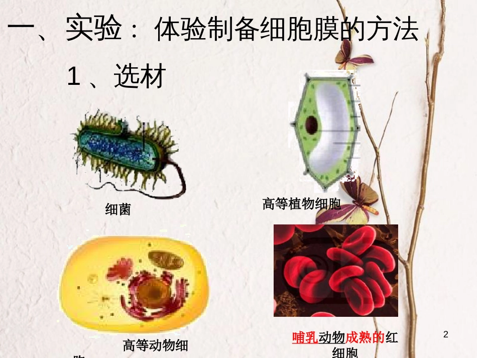 安徽省涡阳县高中生物 第三章 细胞的基本结构 3.1 细胞膜—系统的边界1（2）课件 新人教版必修1_第2页