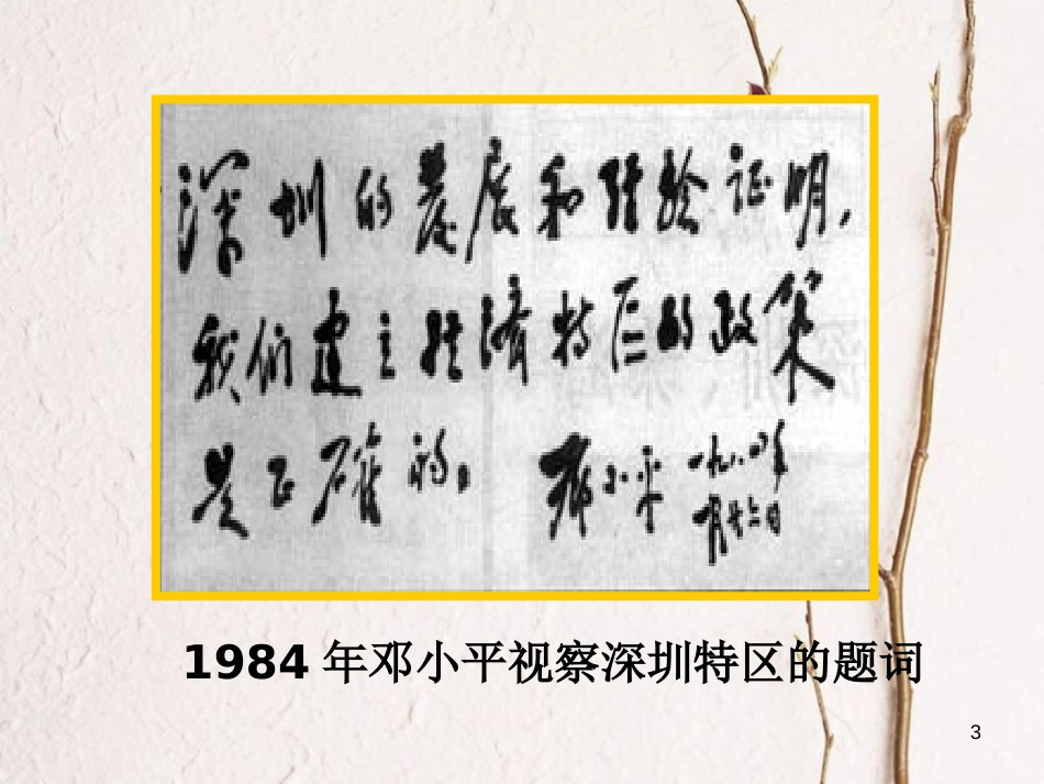 （陕西专版）中考历史复习 对外开放课件_第3页