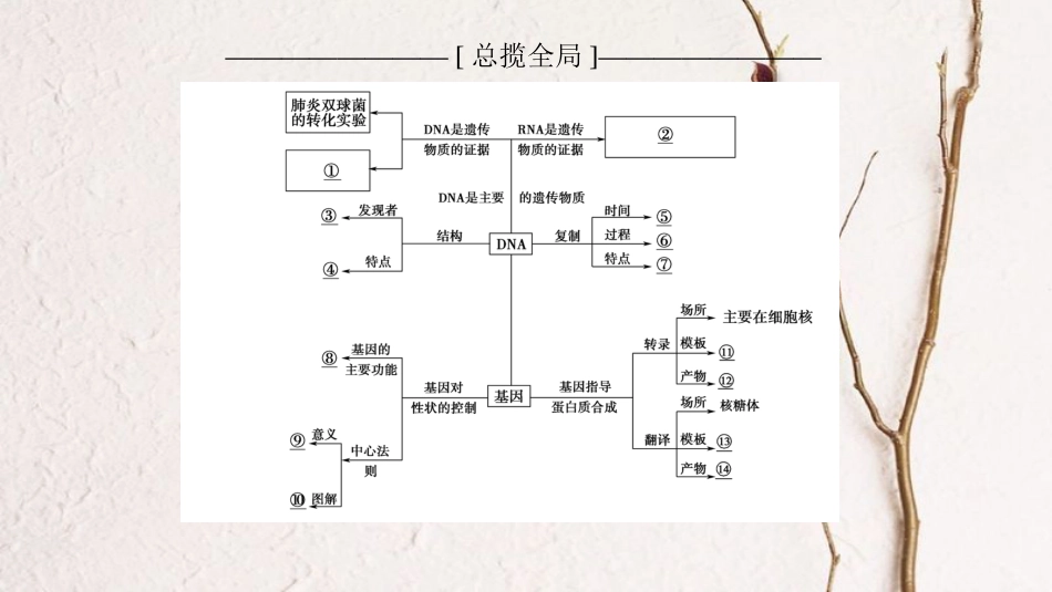 2019版高考生物一轮复习 第6单元 遗传的分子基础单元网络构建课件 苏教版_第2页