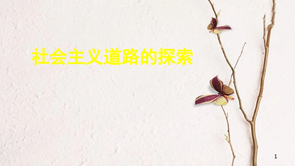 中考历史专题复习 社会主义道路的探索课件 新人教版_第1页