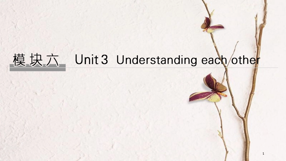 2019版高考英语大一轮复习 模块六 Unit 3 Understanding each other课件 牛津译林版选修6(1)_第1页