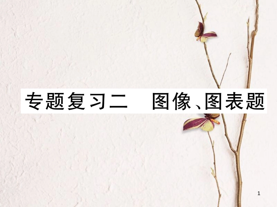 九年级化学下册 期末专题复习 专题复习2 图像、图表题作业课件 （新版）新人教版_第1页
