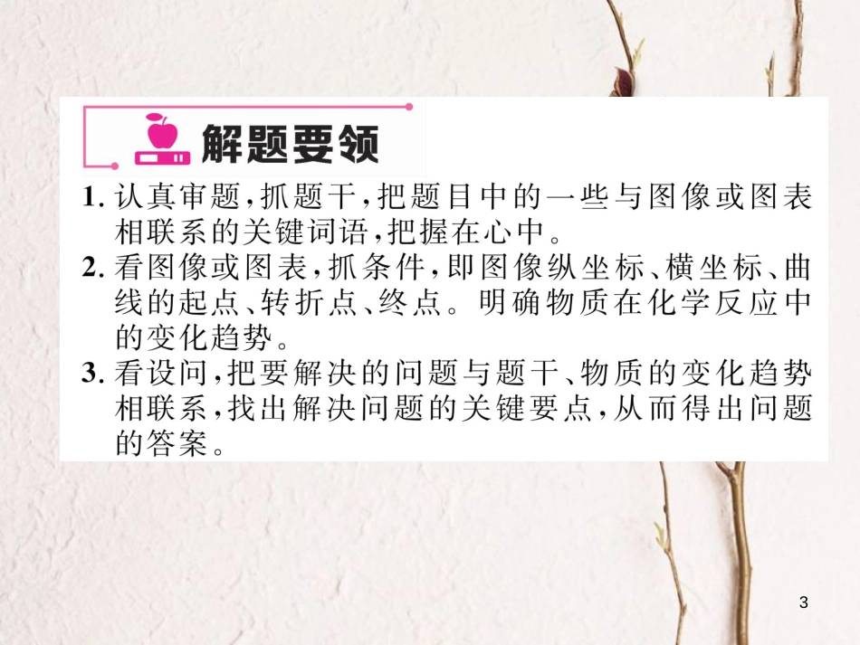 九年级化学下册 期末专题复习 专题复习2 图像、图表题作业课件 （新版）新人教版_第3页