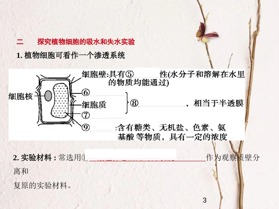 （新课标）2019版高考生物一轮复习 专题3 物质出入细胞的方式课件_第3页
