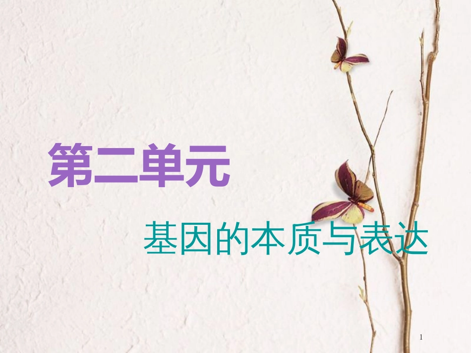 （全国通用版）2019版高考生物一轮复习 第2部分 遗传与进化 第二单元 基因的本质与表达 第1讲 DNA是主要的遗传物质精准备考实用课件_第1页