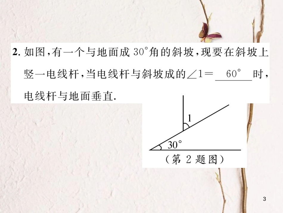 （毕节专版）七年级数学下册 第2章 相交线与平行线 课题二 垂线及性质当堂检测课件 （新版）北师大版_第3页