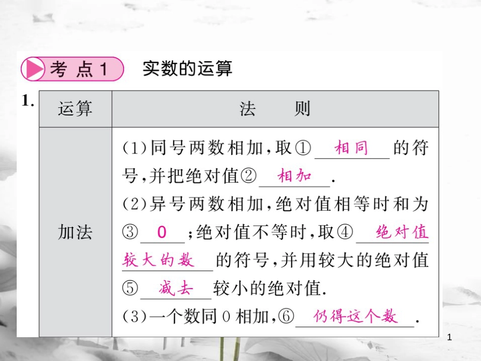 春中考数学总复习 第一轮 同步演练 夯实基础 第一部分 数与代数 第1章 数与式 第1节 实数 第2课时 实数的运算和比较课件 新人教版_第1页