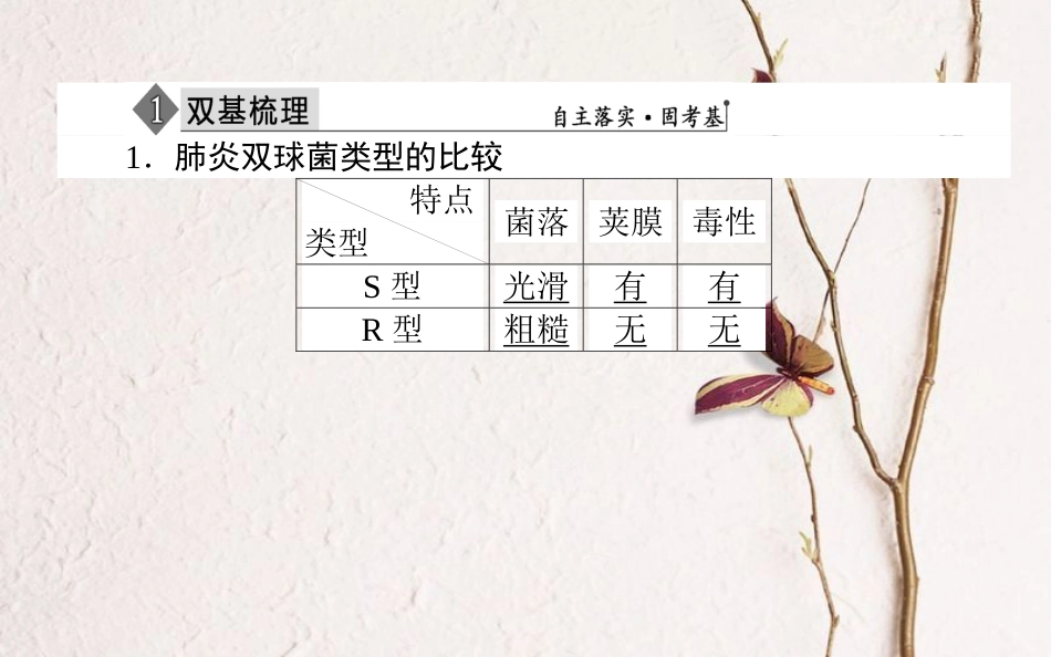 （全国通用）高考生物二轮复习 双基落实案1 遗传物质的经典探究实验课件_第3页