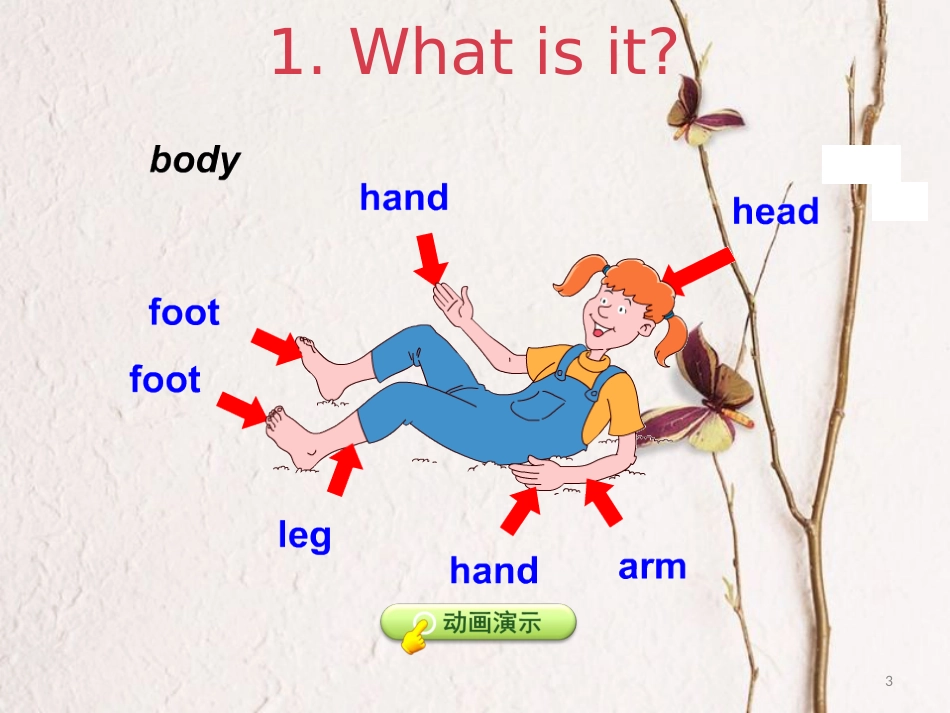 三年级英语上册 Unit 3 Body and Feelings Lesson 14 My Body课件 冀教版（三起）_第3页